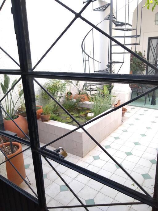 Casa Cuauhtemoc Villa Guadalajara Luaran gambar