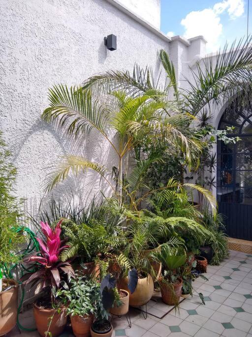 Casa Cuauhtemoc Villa Guadalajara Luaran gambar