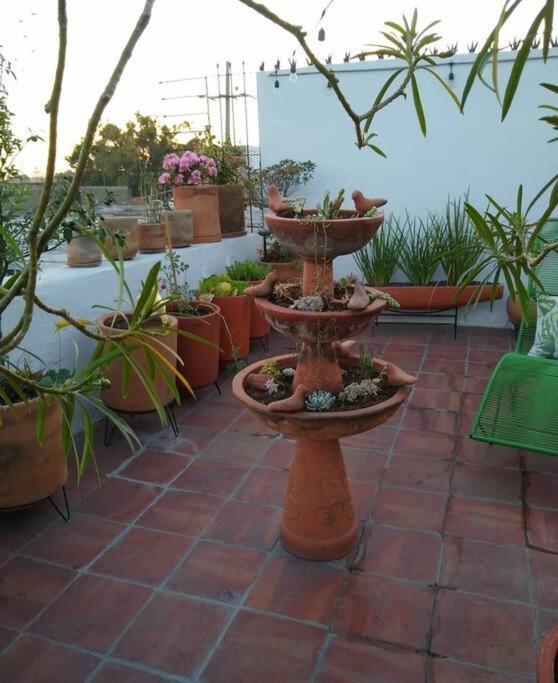 Casa Cuauhtemoc Villa Guadalajara Luaran gambar