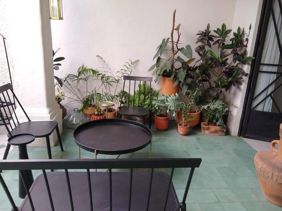 Casa Cuauhtemoc Villa Guadalajara Luaran gambar
